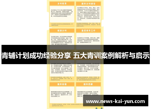 青辅计划成功经验分享 五大青训案例解析与启示